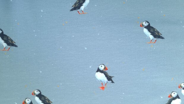 Cotton Jersey Birds Blue