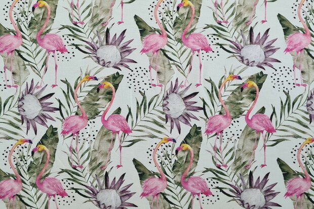 Cotton Jersey Flamingo White