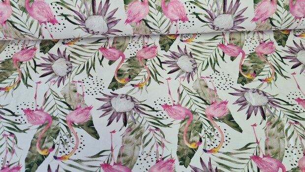 Cotton Jersey Flamingo White