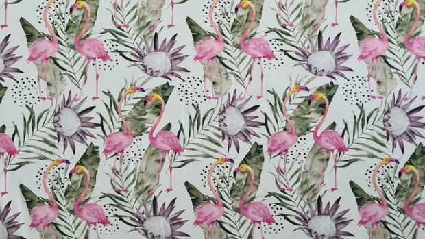 Cotton Jersey Flamingo White