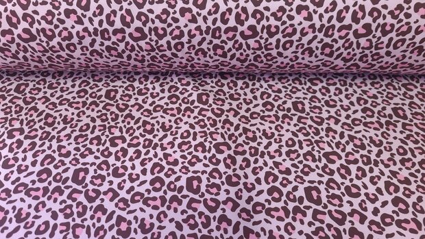 Soft Shell Leo Old Rosé