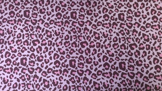 Soft Shell Leo Old Rosé