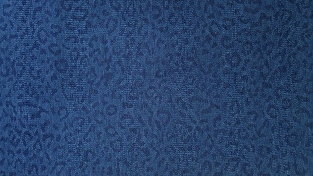 Washed Stretch Jeans Leopard Blue