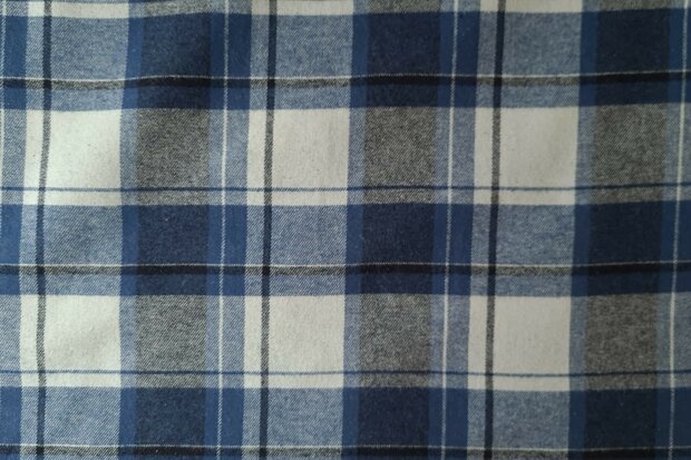 Cotton Flannel Check Jeans Blue