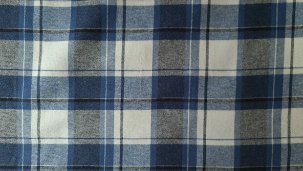 Cotton Flannel Check Jeans Blue