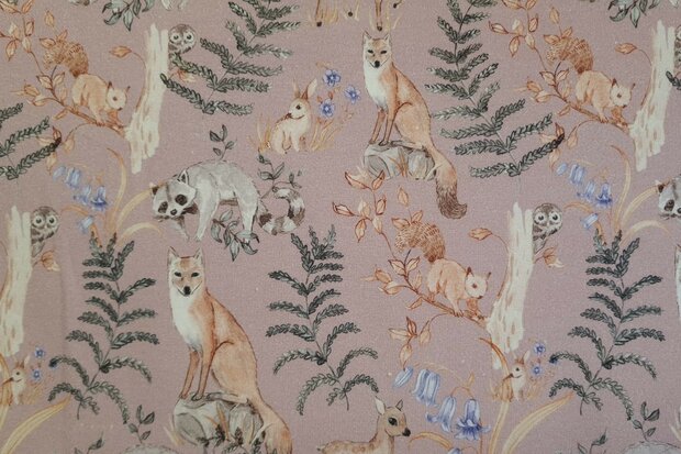 Organic Cotton Jersey Forest Animals 