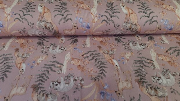 Organic Cotton Jersey Forest Animals 