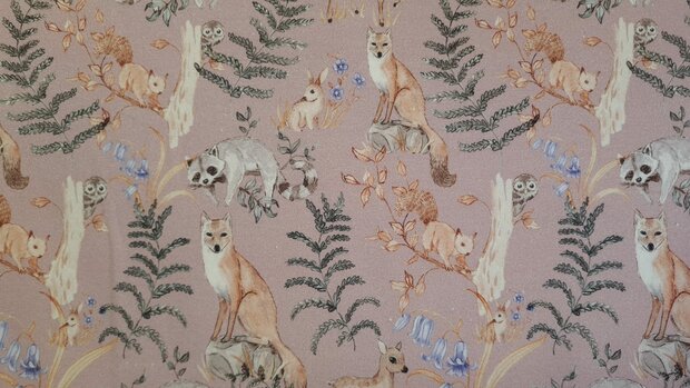 Organic Cotton Jersey Forest Animals 