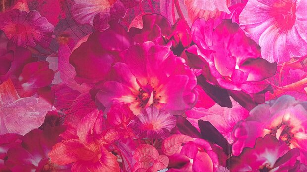 Viscose Twill Ecovero Flowers Magenta