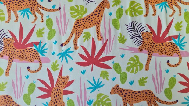 Cotton Jersey Leo Multicolour