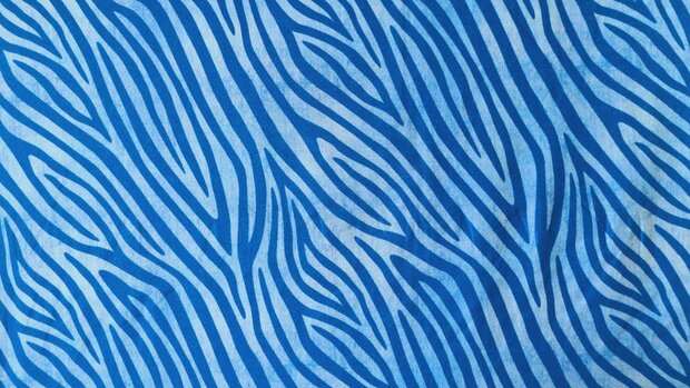 Cotton Jersey Zebra Jeans