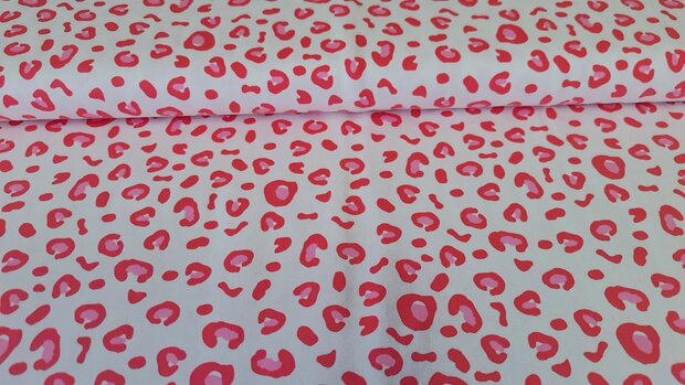 Cotton Jersey Mini Leo Coral
