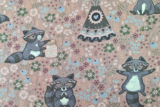 Cotton Jersey Racoon Old Ros&eacute;