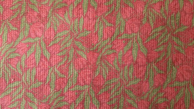 Stretch-Cord Meadow Green-Red