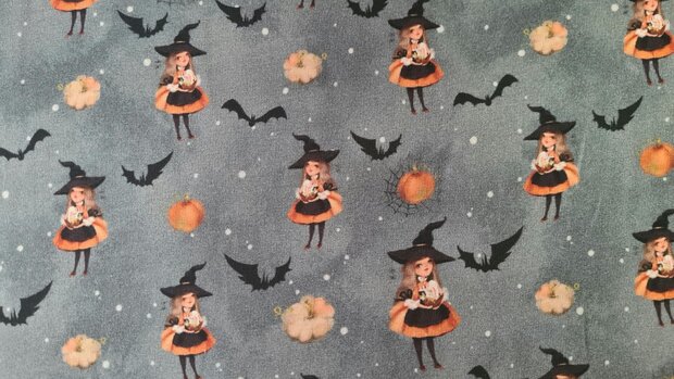 Cotton Jersey Halloween Witch Grey
