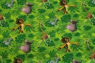 *-MADAGASCAR