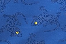 French Terry Salamander Blauw French Terry Salamander Blauw