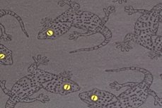 French Terry Salamander Donker Grijs French Terry Salamander Donker Grijs