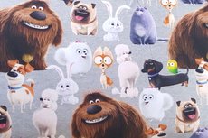French Terry Pets French Terry Pets
