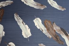 Travel Feathers Blue Travel Feathers Blue