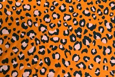 Travel Leo Orange Travel Leo Orange