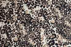 Travel Leo Original Travel Leo Original