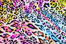 Travel Leo Multicolour Travel Leo Multicolour