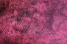 Stretch Crepe Snake Dark Red Stretch Crepe Snake Dark Red