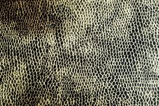 Stretch Crepe Snake Dark Green Stretch Crepe Snake Dark Green