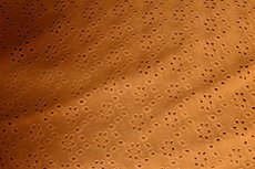 Stretch Broderie Caramel Stretch Broderie Caramel