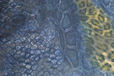 Viscose Jersey Flockprint Leo Snake Blue