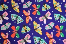 Soft Shell Butterflies Blue Soft Shell Butterflies Blue
