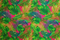Soft Shell Jungle Pink Soft Shell Jungle Pink