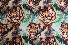 Soft Shell Tiger Mint Soft Shell Tiger Mint