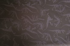 Soft Shell Glow in the dark Dino Black Soft Shell Glow in the dark Dino Black