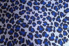 Stretch Knitted Jacquard Leo Blue Stretch Knitted Jacquard Leo Blue