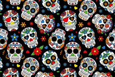 Cotton Jersey Colour Skulls Black Cotton Jersey Colour Skulls Black