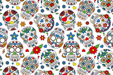 Cotton Jersey Colour Skulls White Cotton Jersey Colour Skulls White