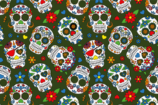 Cotton Jersey Colour Skulls Green Cotton Jersey Colour Skulls Green