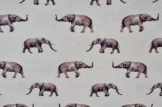 Cotton Jersey Elephant Off White Cotton Jersey Elephant Off White