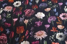 Cotton Jersey Digital Big Tulip Black Cotton Jersey Digital Big Tulip Black