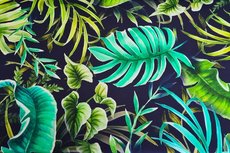 Cotton Jersey Digital Palm Flower Navy Cotton Jersey Digital Palm Flower Navy