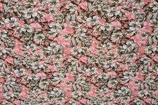 Cotton Jersey Digital Cheetah Flowers Old Pink Cotton Jersey Digital Cheetah Flowers Old Pink