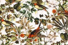 Cotton Jersey Digital Flowers & Birds White Cotton Jersey Digital Flowers & Birds White