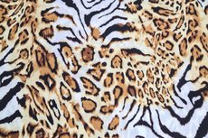 Bubble Chiffon Leo Tiger Bubble Chiffon Leo Tiger