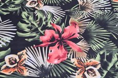Poly Flowers Black Poly Flowers Black