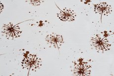 Cotton Jersey Dandelion White/Brown Cotton Jersey Dandelion White/Brown