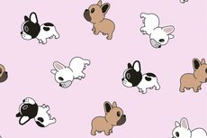 Cotton Jersey Tiny Bulldogs Light Pink Cotton Jersey Tiny Bulldogs Light Pink