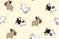 Cotton Jersey Tiny Bulldogs Light Yellow Cotton Jersey Tiny Bulldogs Light Yellow