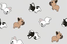 Cotton Jersey Tiny Bulldogs Light Grey Cotton Jersey Tiny Bulldogs Light Grey